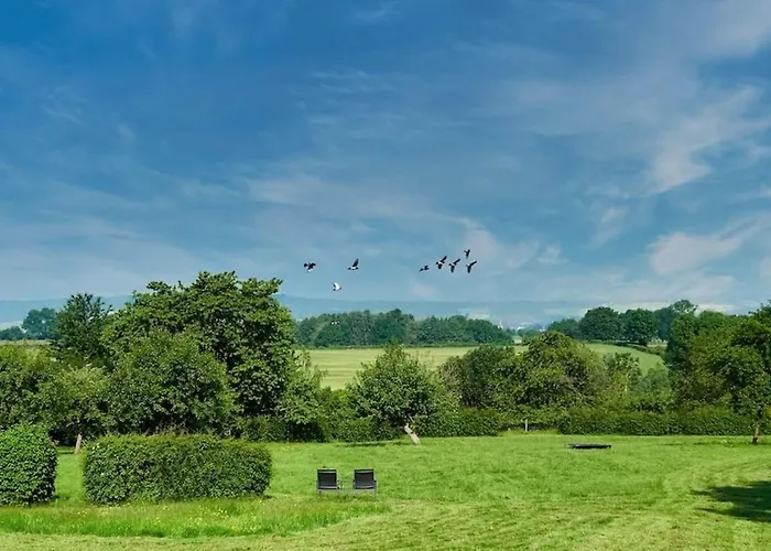 Luxe Voor 2 In Het Heuvelland-de Trekvogel 아파트 빌렌